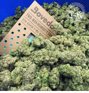 Cannabis Sativa Hemp Flower