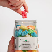 CBD Bears Gummies 3200mg - 4800mg