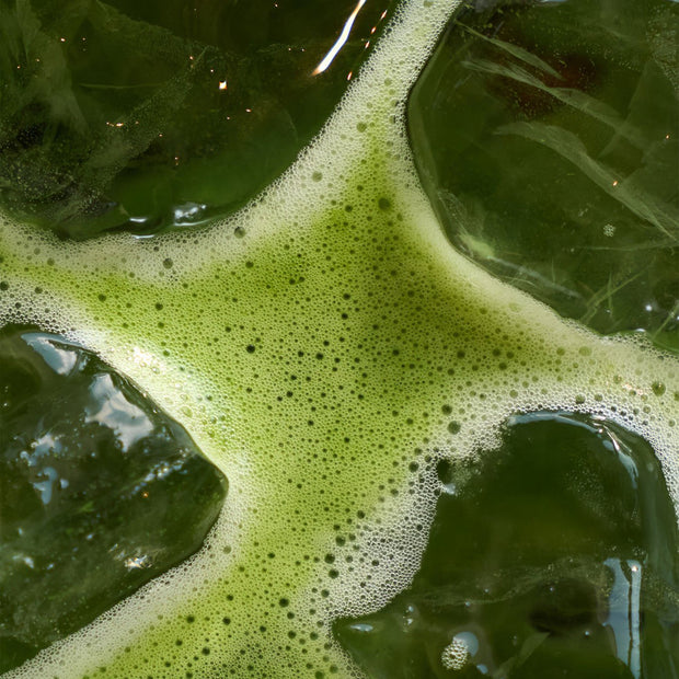 Matcha Green Tea Powder | 150g
